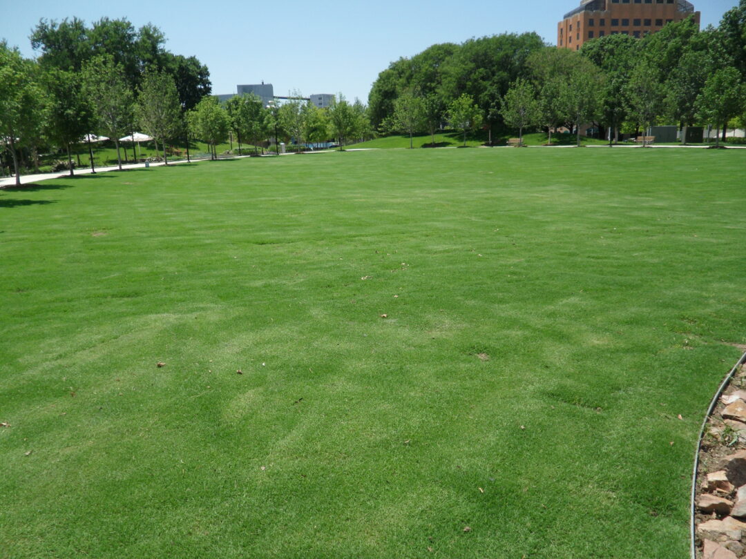 Gallery O' Green Easton Sod Farms Inc.